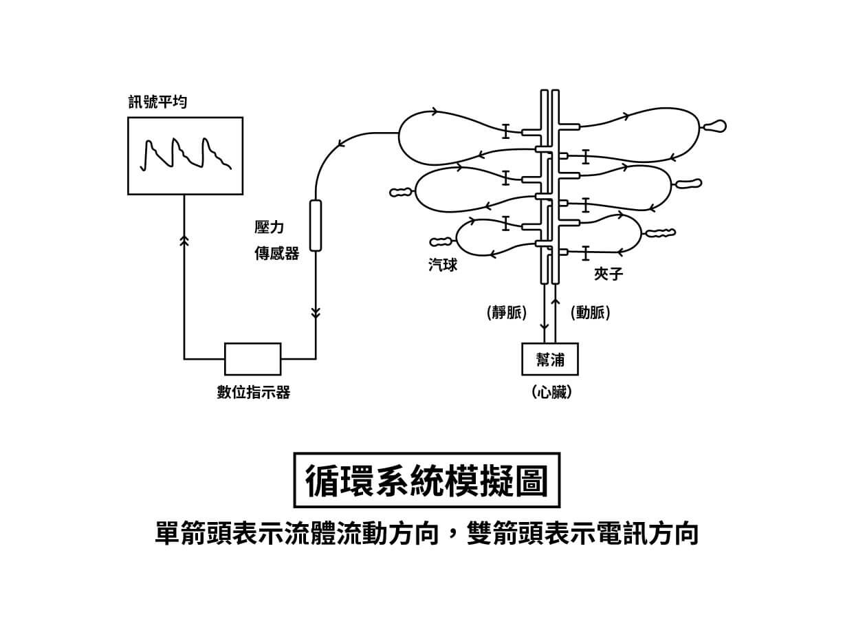 循環系統模擬圖