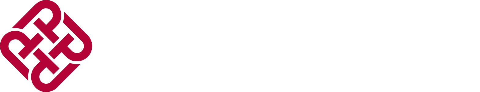 香港理工大學